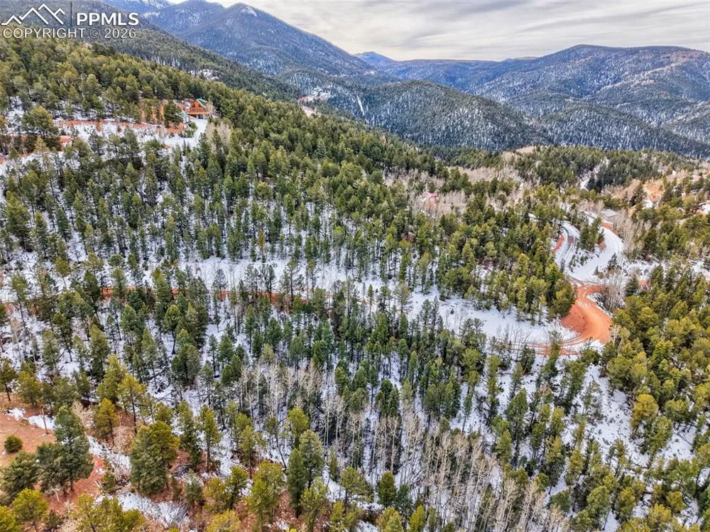 165 Witherite Drive Divide, CO 80814