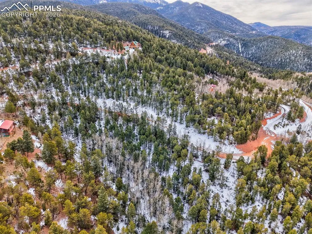 165 Witherite Drive Divide, CO 80814