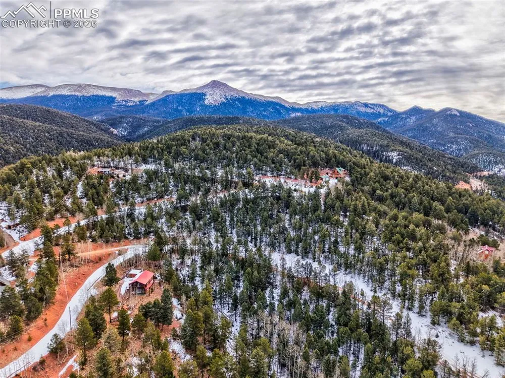 165 Witherite Drive Divide, CO 80814