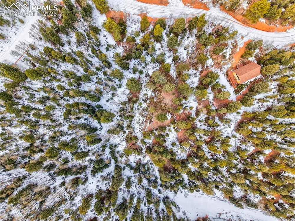 1181 Calcite Drive Divide, CO 80814