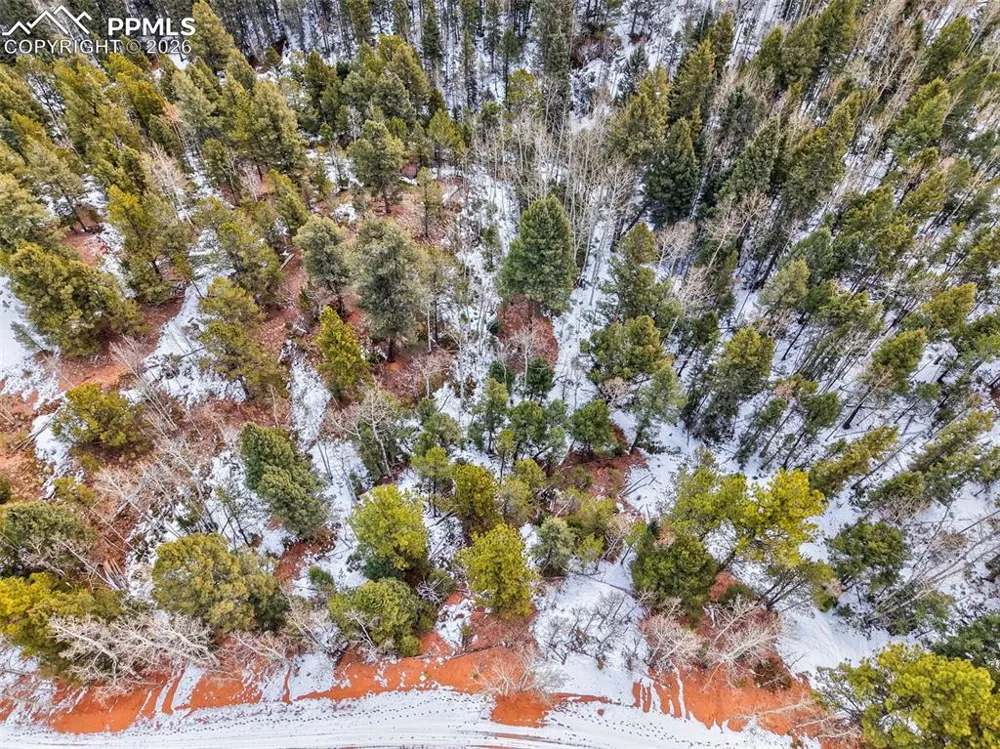 1181 Calcite Drive Divide, CO 80814