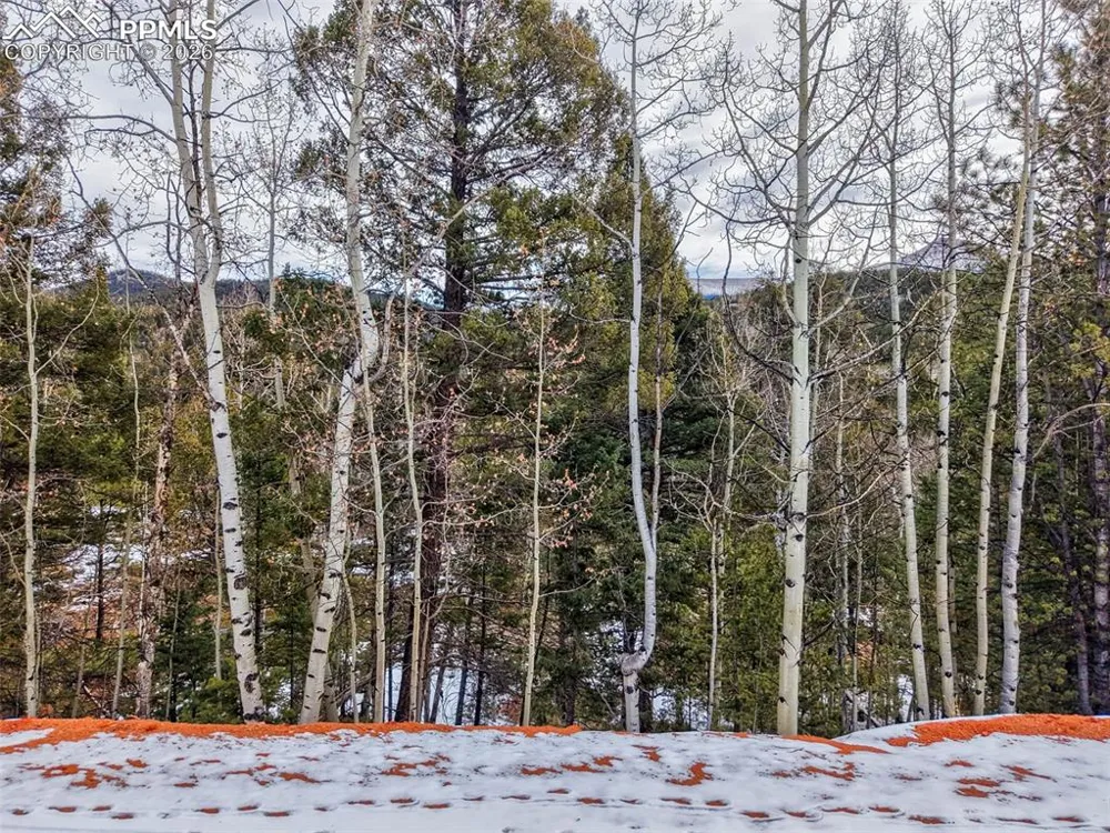 1181 Calcite Drive Divide, CO 80814