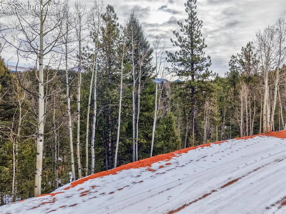 1181 Calcite Drive Divide, CO 80814