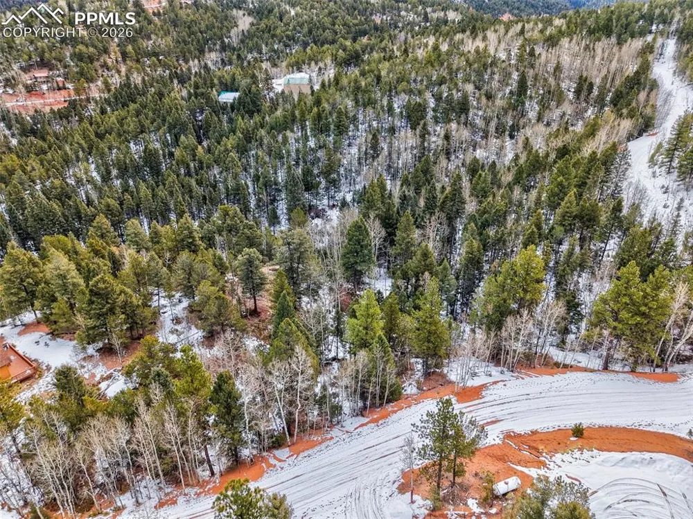 1181 Calcite Drive Divide, CO 80814