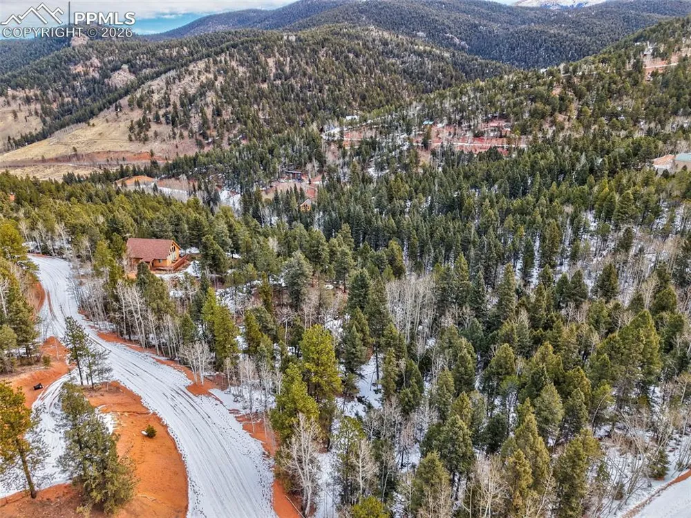 1181 Calcite Drive Divide, CO 80814