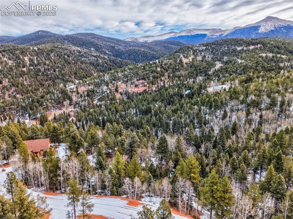 1181 Calcite Drive Divide, CO 80814