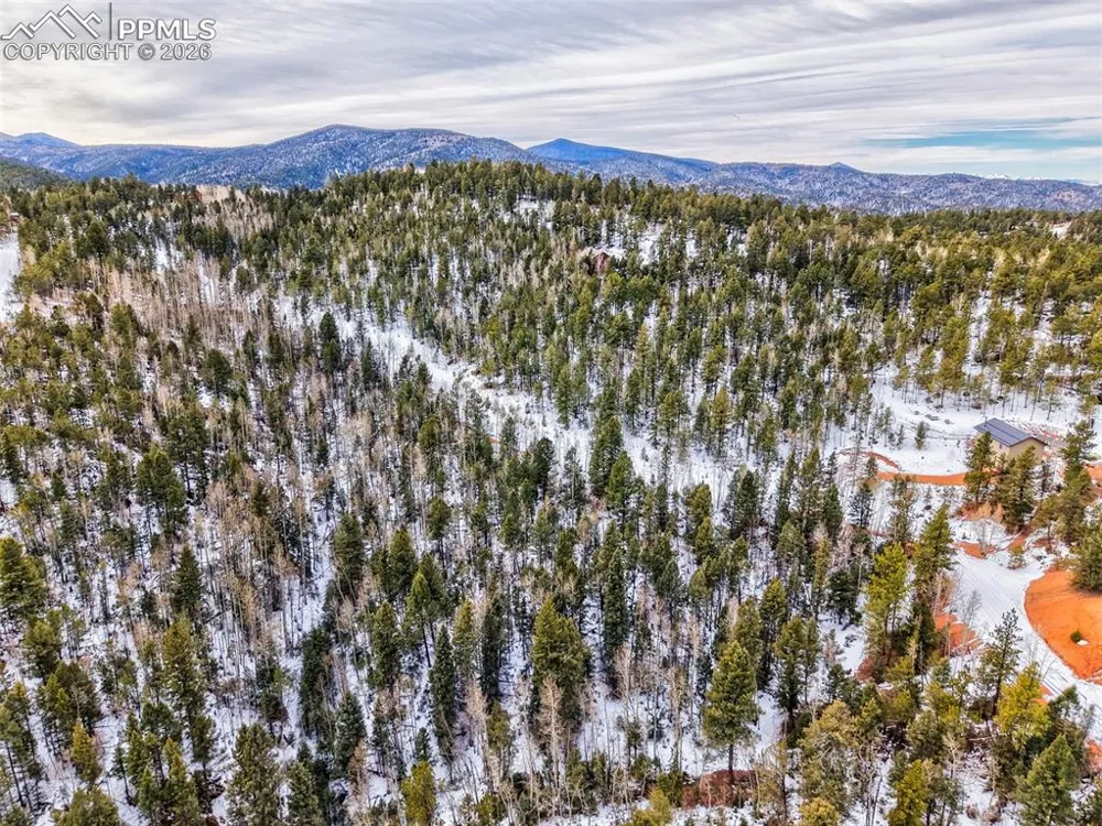 1181 Calcite Drive Divide, CO 80814