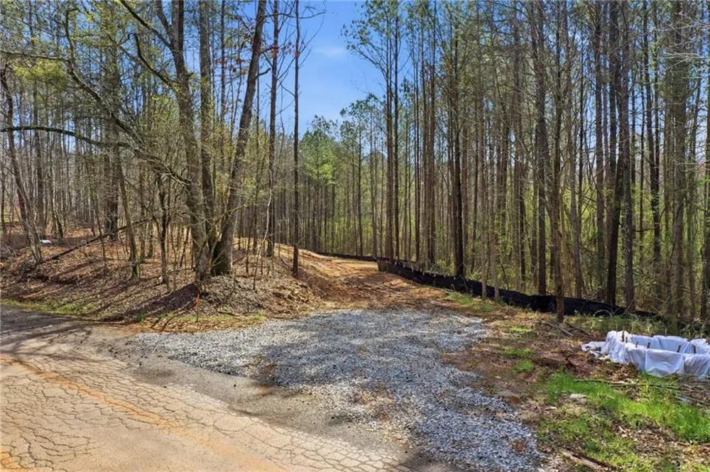 250 Sardis Circle Canton, GA 30114