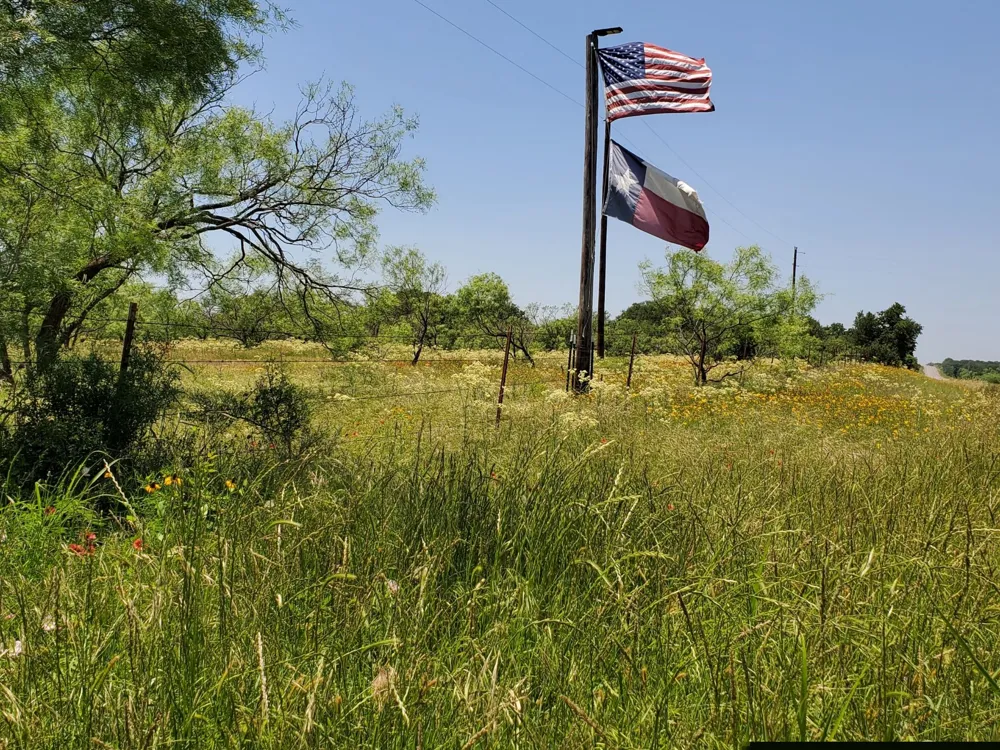 19069 Highway 6 Gorman, TX 76454