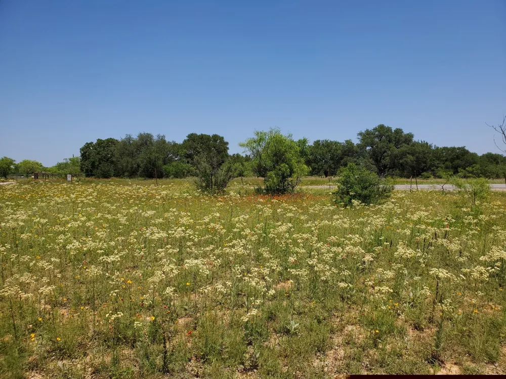 19069 Highway 6 Gorman, TX 76454