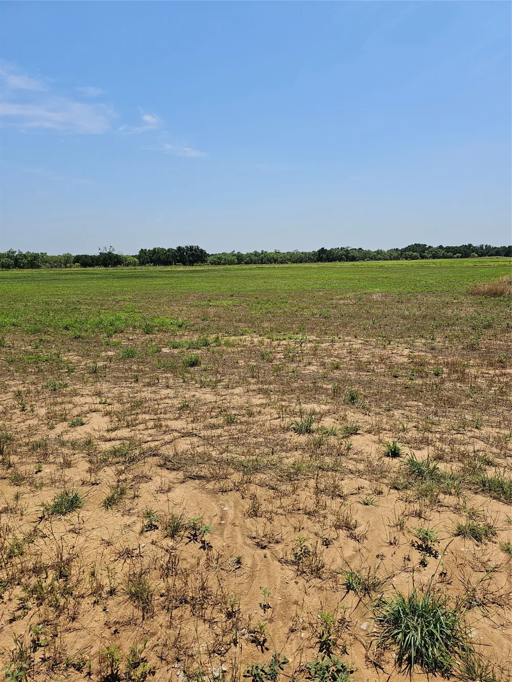 19069 Highway 6 Gorman, TX 76454