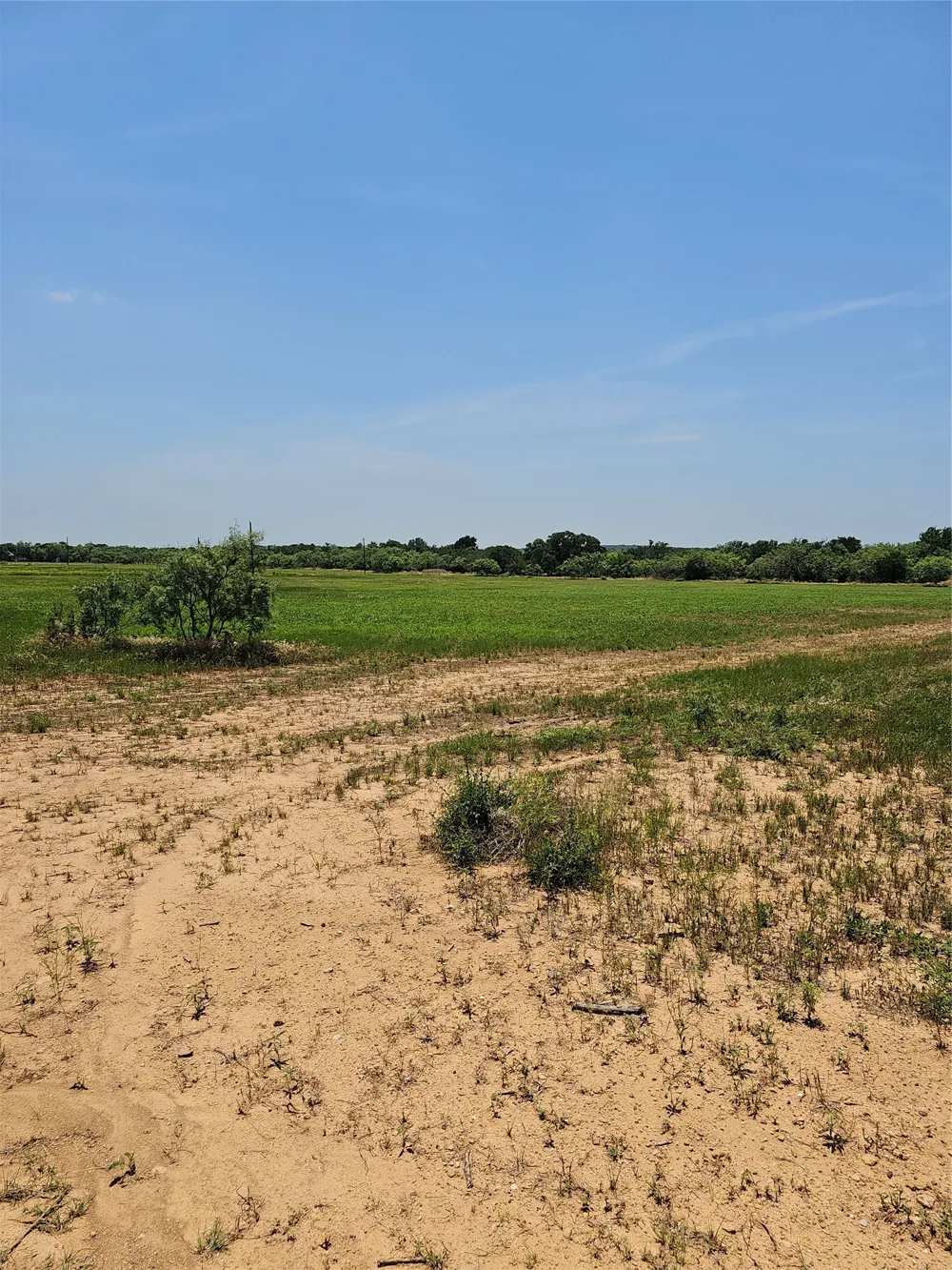 19069 Highway 6 Gorman, TX 76454