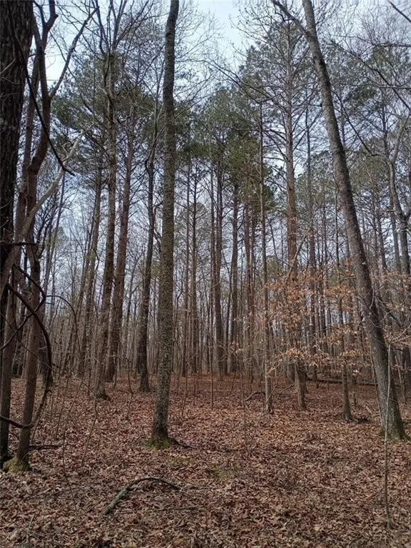 0-A Cleveland Highway Cohutta, GA 30710