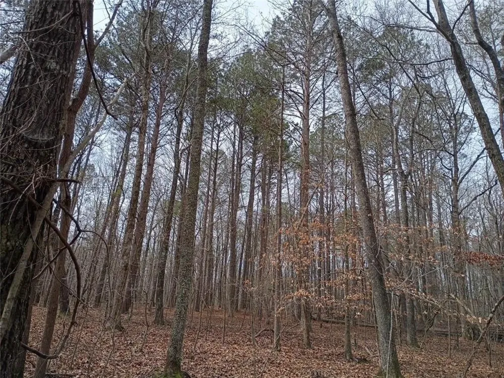 0-A Cleveland Highway Cohutta, GA 30710