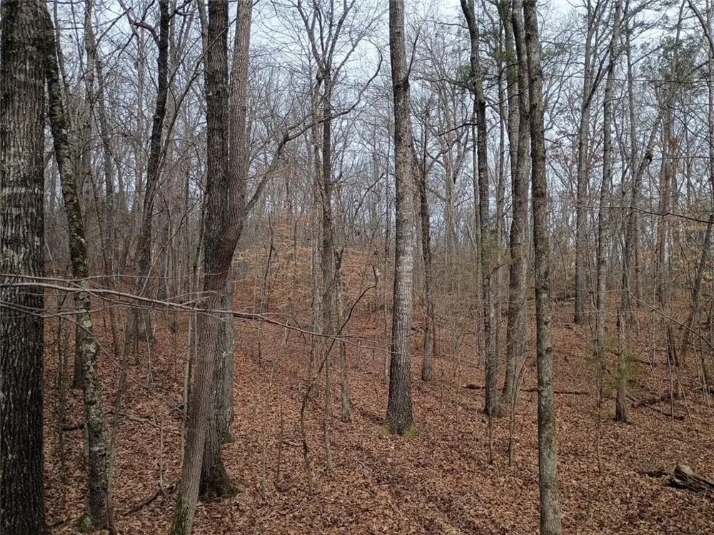 0-A Cleveland Highway Cohutta, GA 30710