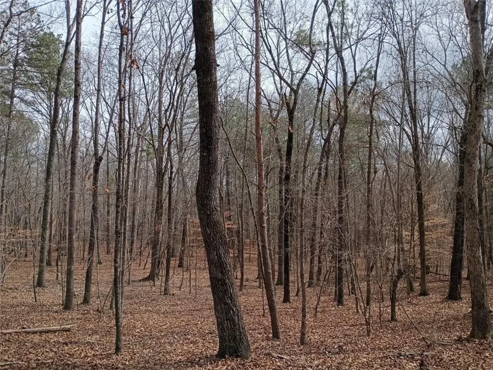0-A Cleveland Highway Cohutta, GA 30710