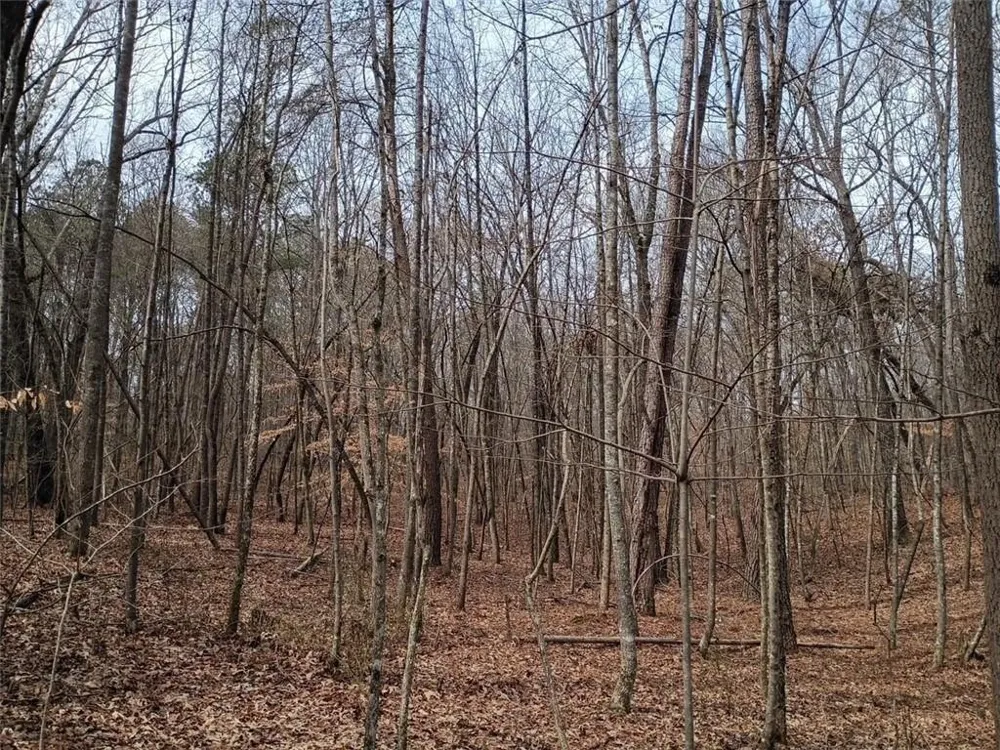 0-A Cleveland Highway Cohutta, GA 30710
