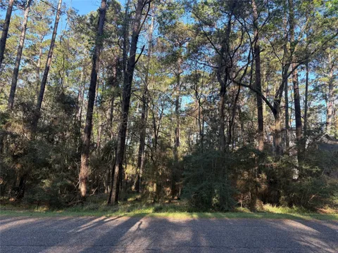 54 Green Tree Drive