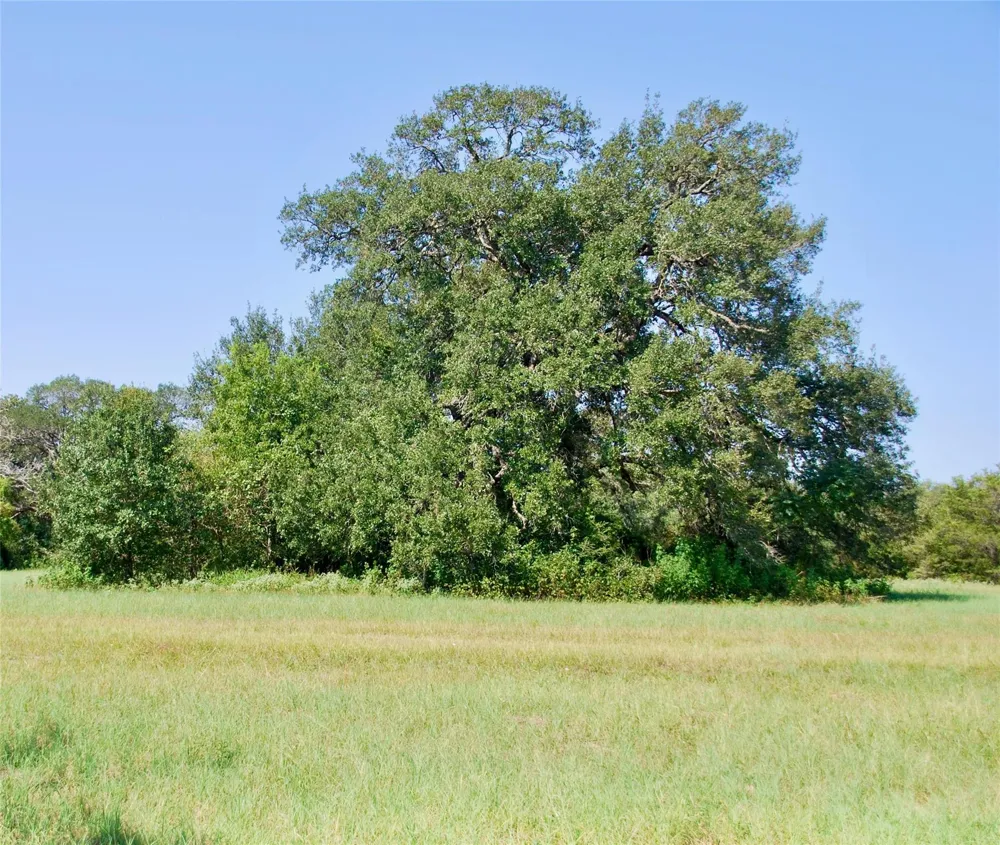 2 Harvell Lane Schulenburg, TX 78956