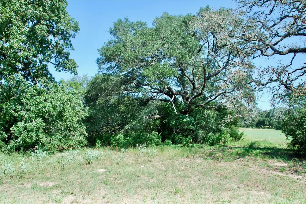 2 Harvell Lane Schulenburg, TX 78956