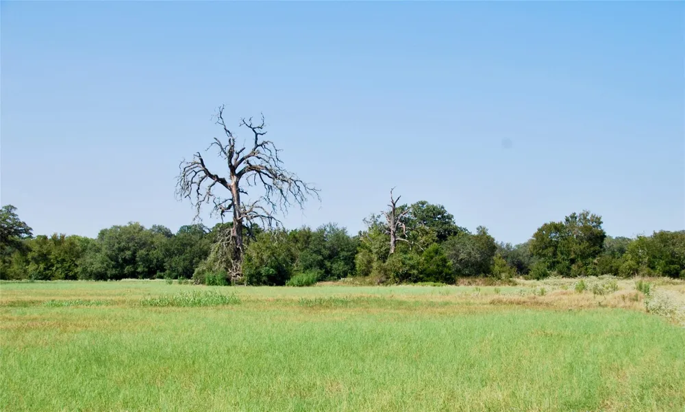 3 Harvell Lane Schulenburg, TX 78956