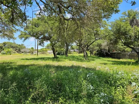 1 Hackberry