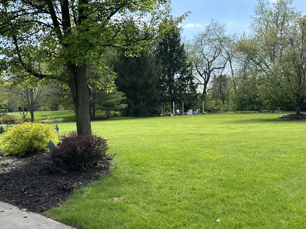 9095 Marsh Creek Circle Galesburg, MI 49053