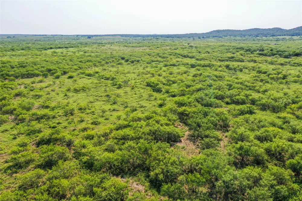 262 FM 1191 Jacksboro, TX 76458