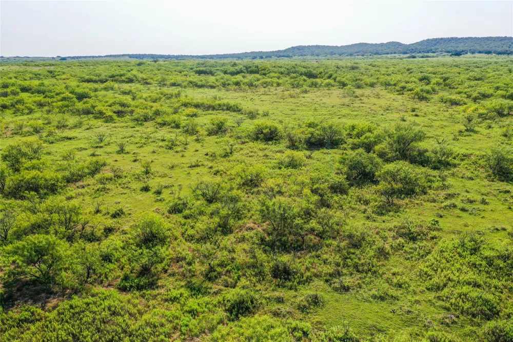 262 FM 1191 Jacksboro, TX 76458