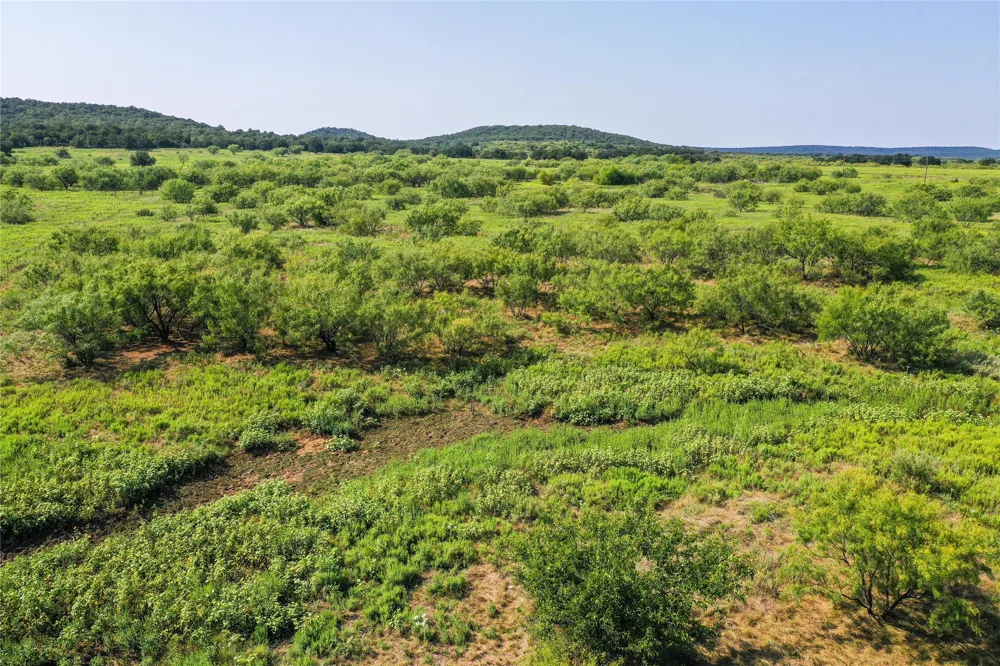 262 FM 1191 Jacksboro, TX 76458