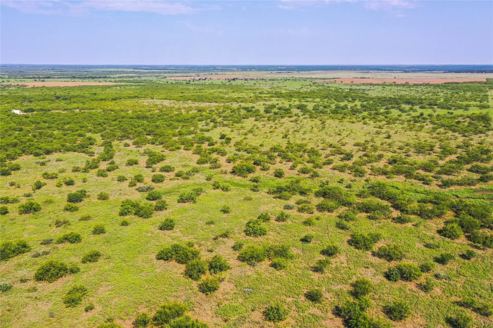 262 FM 1191 Jacksboro, TX 76458