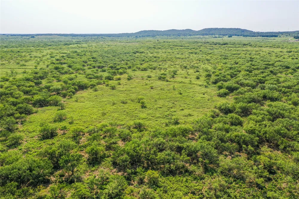 262 FM 1191 Jacksboro, TX 76458