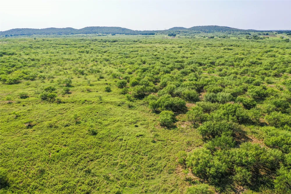 262 FM 1191 Jacksboro, TX 76458