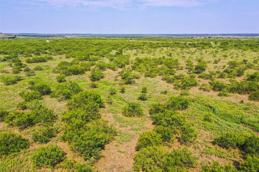 262 FM 1191 Jacksboro, TX 76458