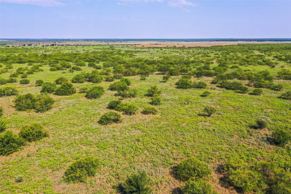 262 FM 1191 Jacksboro, TX 76458