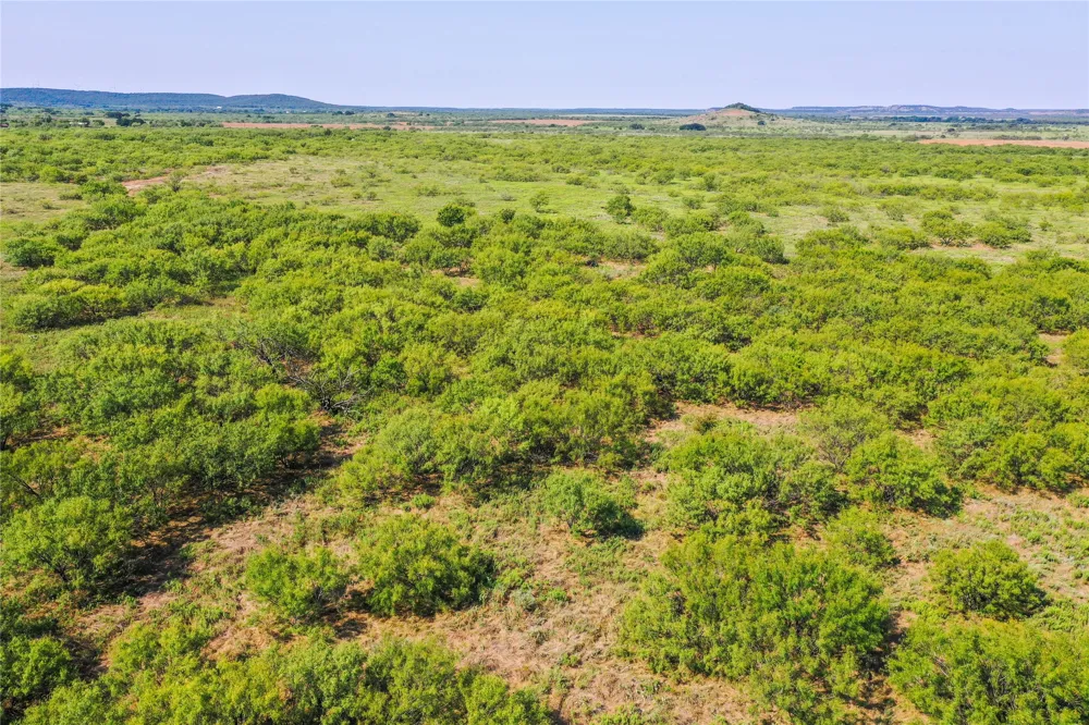 262 FM 1191 Jacksboro, TX 76458