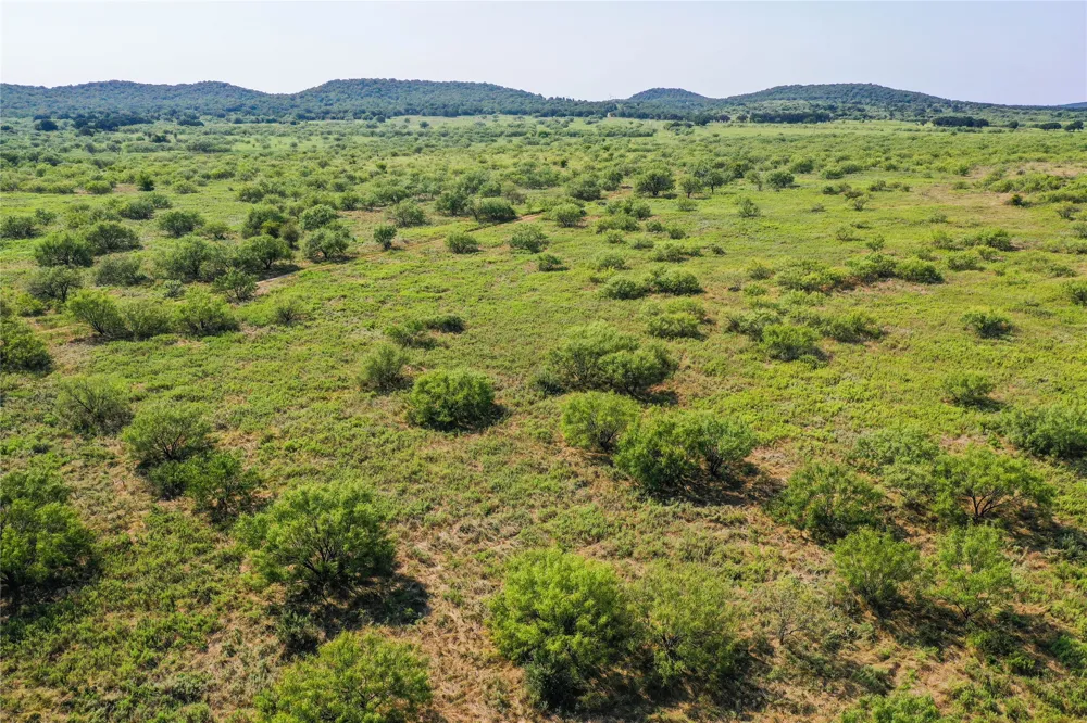 262 FM 1191 Jacksboro, TX 76458