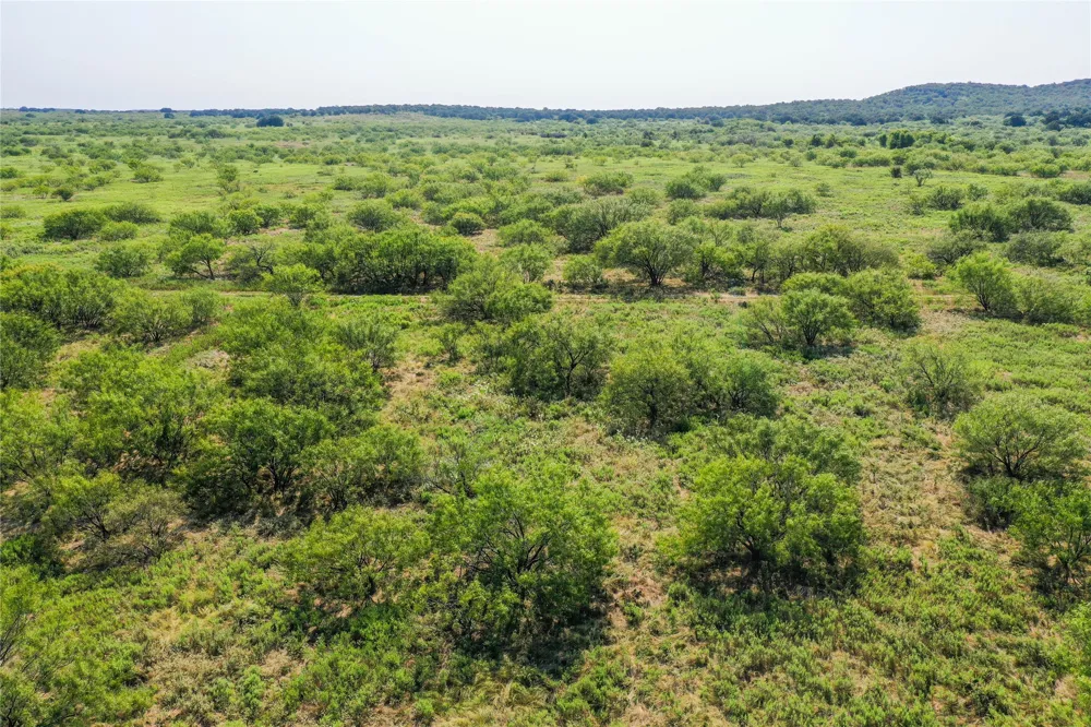 262 FM 1191 Jacksboro, TX 76458