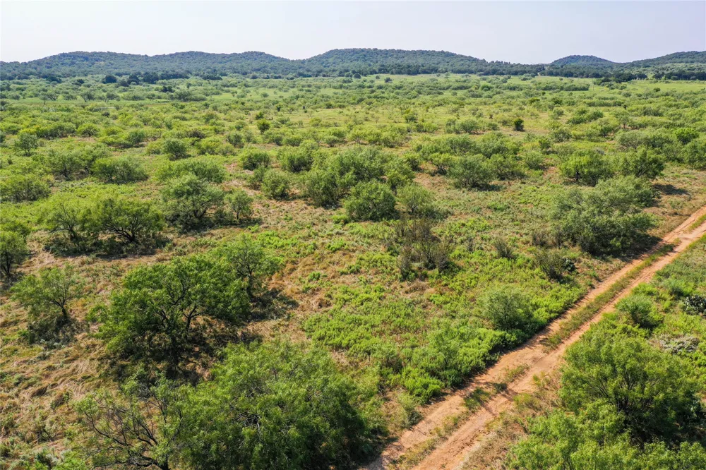 262 FM 1191 Jacksboro, TX 76458