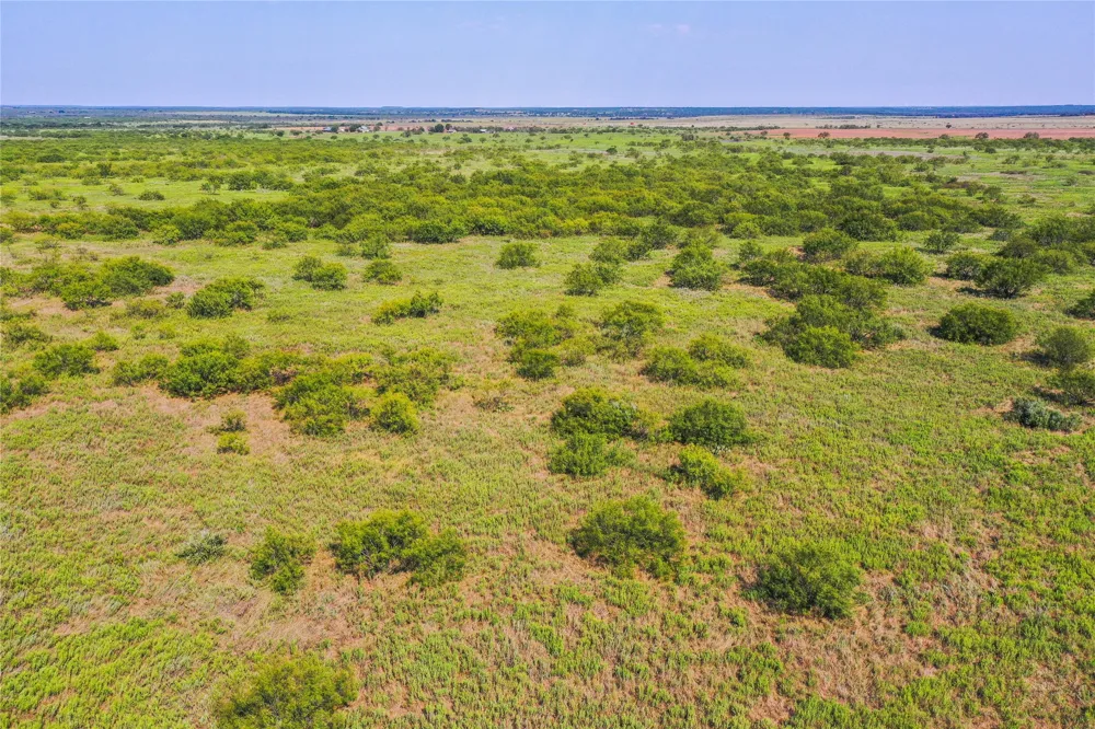 262 FM 1191 Jacksboro, TX 76458