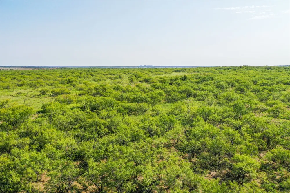 262 FM 1191 Jacksboro, TX 76458