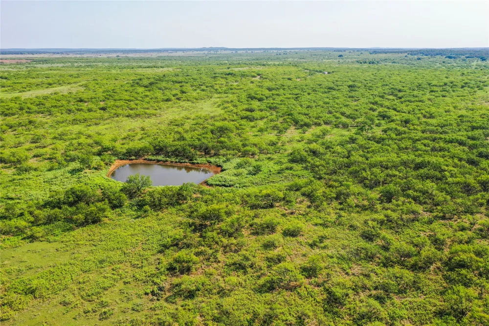 262 FM 1191 Jacksboro, TX 76458
