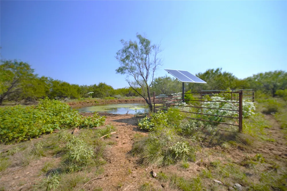 262 FM 1191 Jacksboro, TX 76458