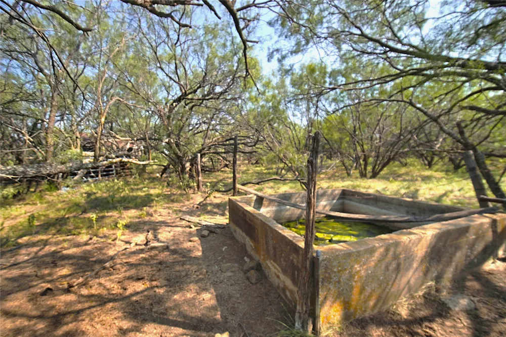 262 FM 1191 Jacksboro, TX 76458