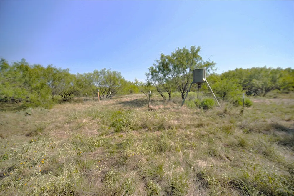 262 FM 1191 Jacksboro, TX 76458