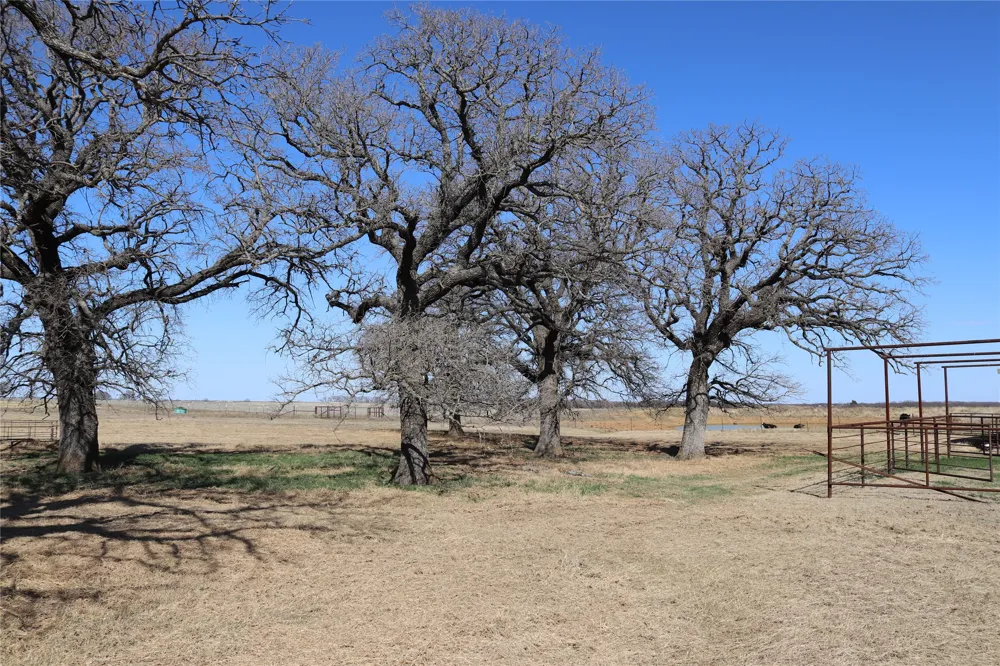 2553 Brixey Road Henrietta, TX 76365