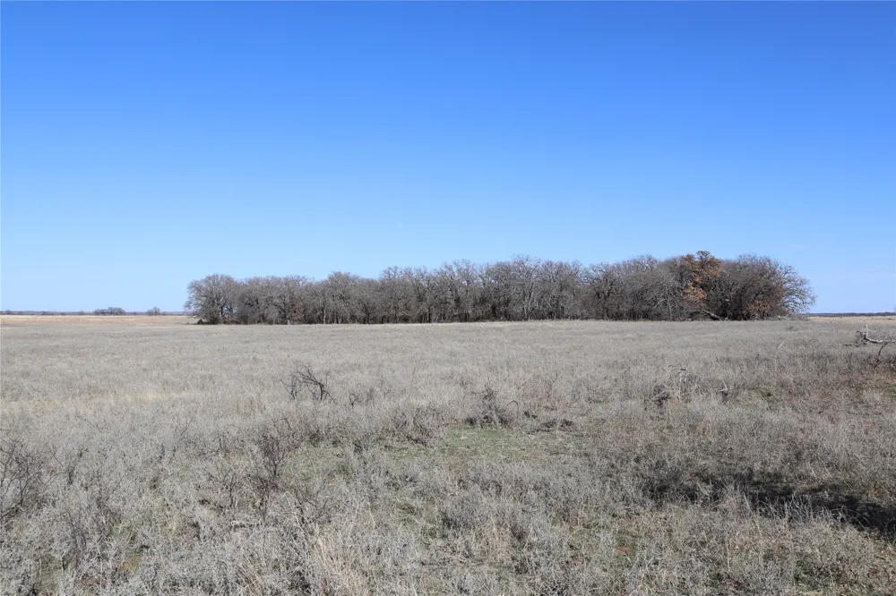 2553 Brixey Road Henrietta, TX 76365