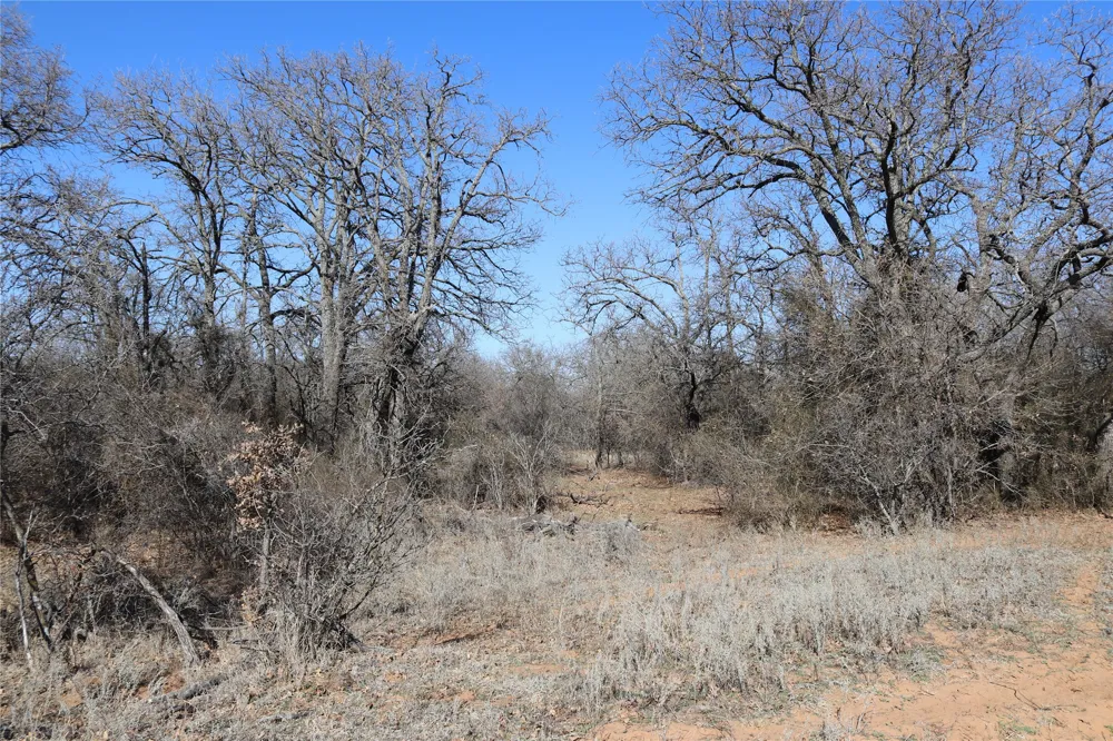 2553 Brixey Road Henrietta, TX 76365