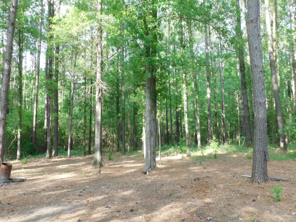 165 Rosewood Road Springhill, LA 71075
