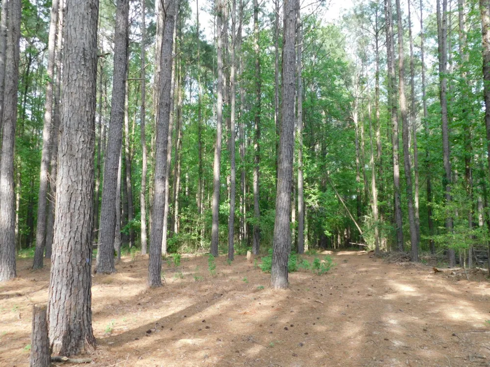 165 Rosewood Road Springhill, LA 71075